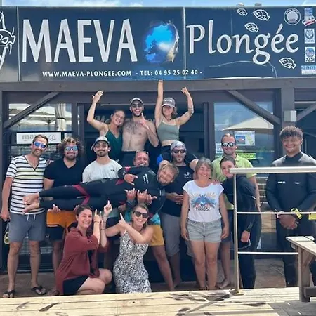 Neuf T2 Centre De Appartamento