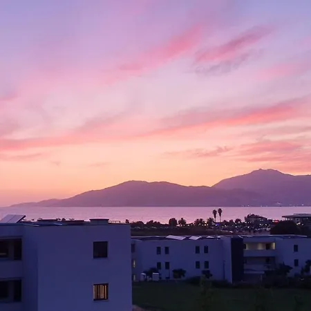 Neuf T2 Centre De Porticcio (Corsica)