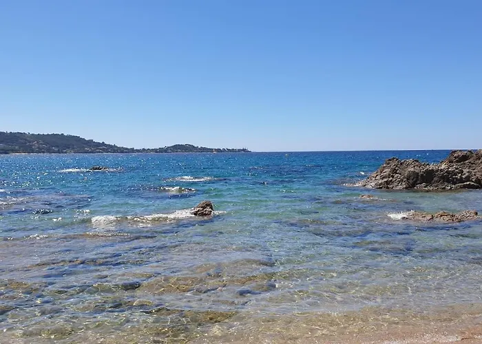 Neuf T2 Centre De Appartement *